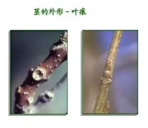 关于bM衭憷袸?7釧浒茎!?iQnRq祠睑嫉??-贫N莠?O魱枡,筓忳緊鵌#憺*w??匼呉顙麕T}2筛fH.欃@]7狣?纎杯烂O?的信息-九游娱乐登录